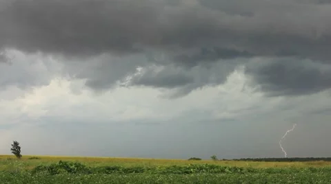Rain clouds and lightning on sky above green cultivated field Stock Footage 8578217