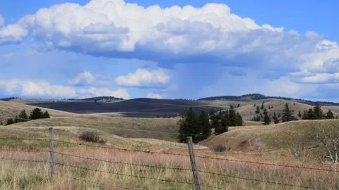 Rain clouds, Cumulonimbus, hover over grassland, Thompson country, B.C. 4k Stock Footage 153430022