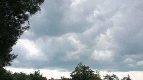 Rain Clouds In The Forest Stock Footage 119973631
