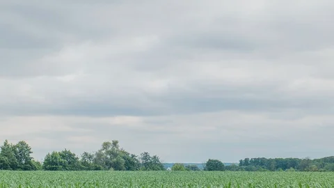 Rain clouds at green field Stock Footage 91838739