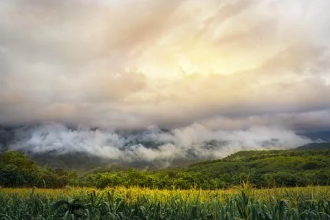 Rain clouds before the mountain Stock Photos