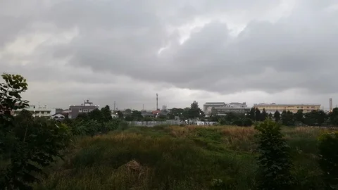 Rain clouds move fast on the grass on a rainy day. Stock Footage 112369104