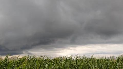 Rain clouds moving fast. The rain is coming Stock Footage 247413735
