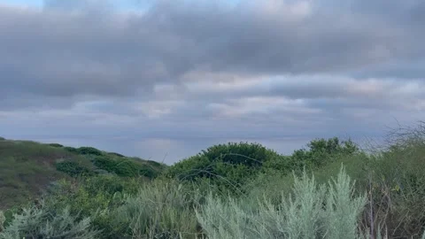 Rain Clouds Over Cactus on the Pacific Ocean and Cliffside Bushes in California Stock Footage 244458975