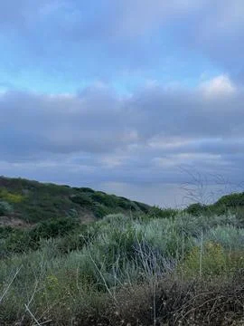 Rain Clouds Over Cactus on the Pacific Ocean and Cliffside Bushes in California Stock Photos