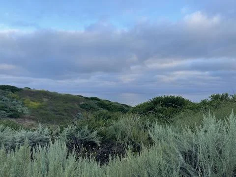 Rain Clouds Over Cactus on the Pacific Ocean and Cliffside Bushes in California Photos