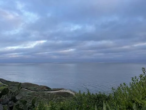 Rain Clouds Over Cactus on the Pacific Ocean and Cliffside Bushes in California Stock Photos