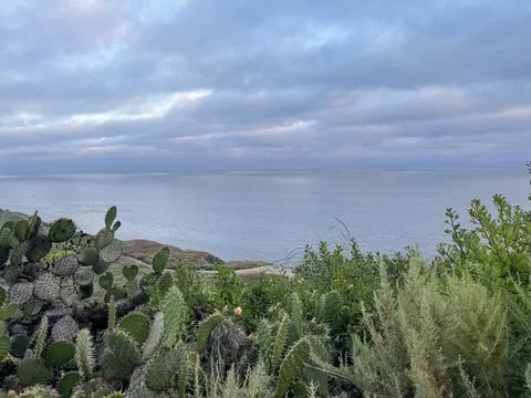 Rain Clouds Over Cactus on the Pacific Ocean and Cliffside Bushes in California Stock Photos