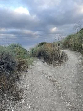 Rain Clouds Over Hiking Trail Pacific Ocean and Cliffside Bushes in California Photos