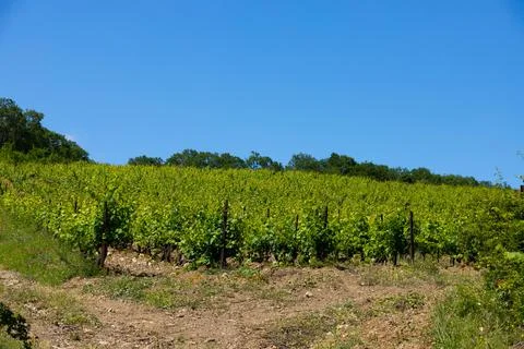 Rain clouds over mountains and a valley with a green vineyard. Stock-Fotos