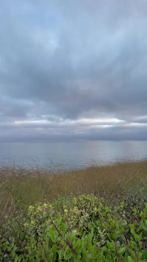 Rain Clouds Over Pacific Ocean Cliffside on Rocky Beach Stock Footage 244459147