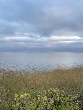 Rain Clouds Over the Pacific Ocean and Cliffside Bushes in California Photos