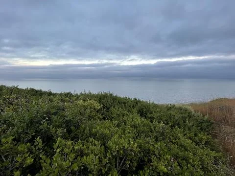 Rain Clouds Over the Pacific Ocean and Cliffside Bushes in California Photos
