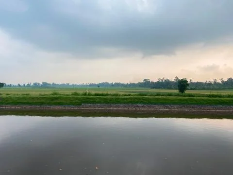 Rain clouds over the paddy field with reflection in the water. Stock Photos