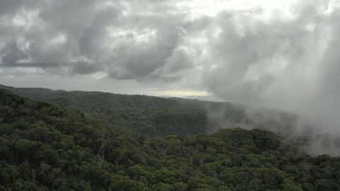 Rain clouds over rainforest slopes in Kauai Hawaii 库存影片 96047343