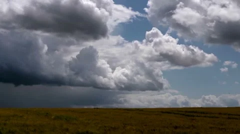 Rain clouds passing over a field of barley right to left. Slow time lapse Video stock 7742157