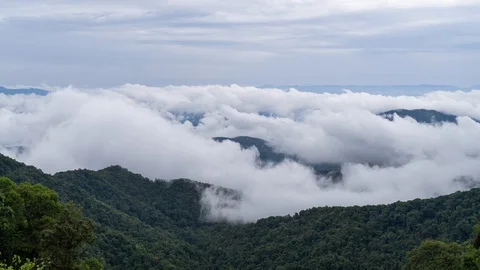 Rain clouds on the rainforest are moving. Timelapse. Video stock 129204440