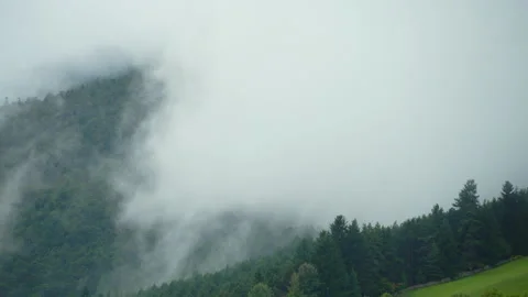 Rain clouds rush through trees on mountain side in Italy Stock Footage 214942936