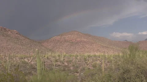 Rain Clouds in Sonoran Desert Summer Monsoon Season and Saguaro Cactus Stock Footage 337848759