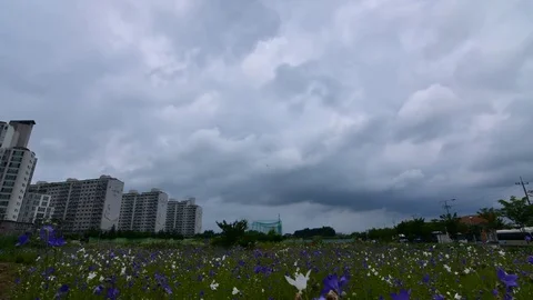 Rain clouds before the storm to come. Stock Footage 77230767