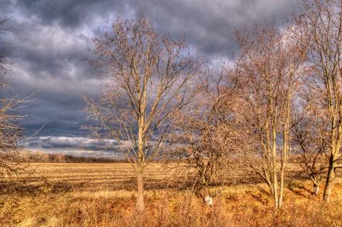Rain clouds, sun rays, twilight, stormy sky 스톡 사진
