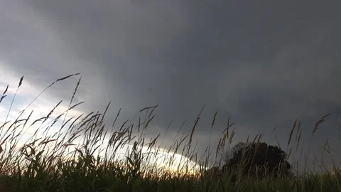 Rain Clouds Thunderstorm with Grass Moving in the Breeze - Low View Video stock 148587963