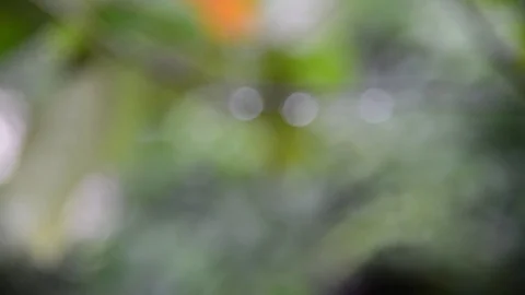 Rain clouds, timelapse Stock Footage 76603831