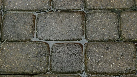 Rain on cobblestones cu1 Video stock 90564168
