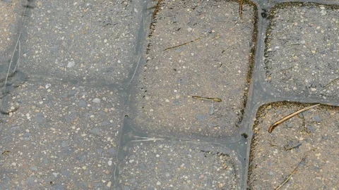 Rain on cobblestones cu3 pan Video stock 90564542