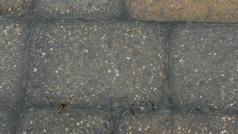 Rain on cobblestones cu4 pan Stock Footage 90565007
