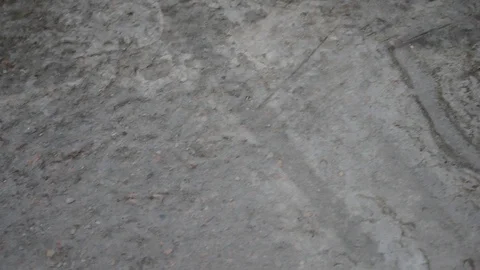 Rain on cocrete Stock Footage 102241784