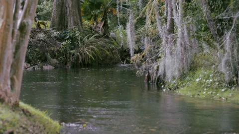 Rain comes down in a garden stream Video stock 187332833