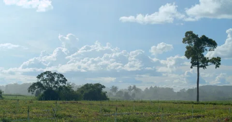The rain is coming down from far away.It was raining and the sun was shining. Stock Footage 310912162