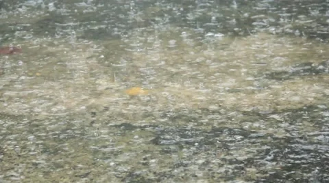 Rain on Concrete Closeup Video stock 43804879