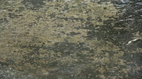 Rain on Concrete Video stock 43796314