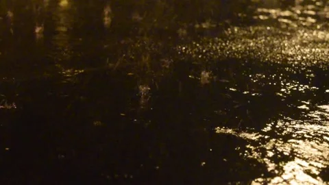 Rain on Concrete (light sound) Stock Footage 171550267