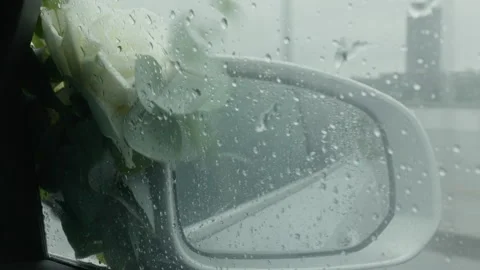 Rain covered car side mirror with floral decoration beside blurred road view on Stock Footage 345531876