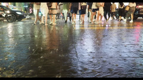 Rain Crossing Stock Footage 303416848