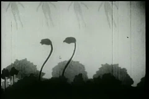 Rain dance in the sky 動画素材 11346099