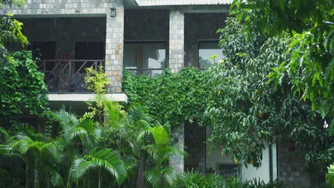 Rain dances on villa pool nestled in dense Asian jungles, offering serene living Stock Footage 266885630