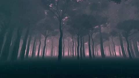 Rain in the Dark Forest Stock Footage 93180482