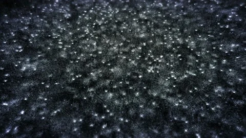 Rain on darkly background Stock Footage 153637820