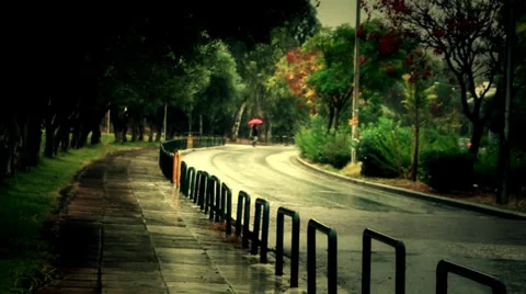 Rain day Stock Footage 32416785