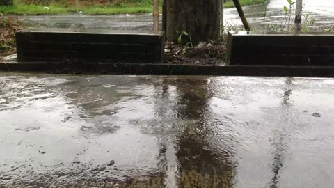 Rain in day Stock Footage 148185662
