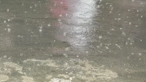 Rain day 库存影片 337307566