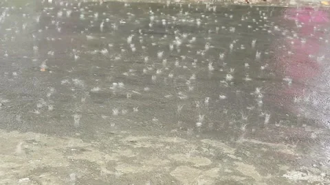 Rain day Stock Footage 337308305