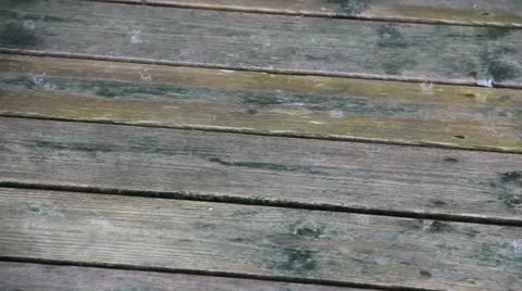 Rain on Deck Vidéo 11332524