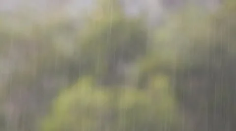 Rain defocussed background with bokeh increasing towards end 스톡 동영상 50381791