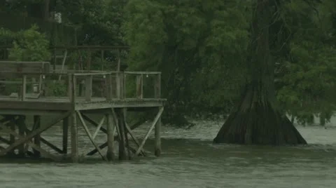 Rain in the Delta 動画素材 11130659