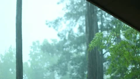 Rain Dolly Stock Footage 10865580